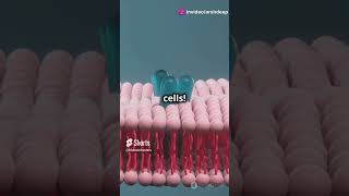 What is the Plasma Membrane biology facts cellbiology science quiz education genetics [upl. by Forkey]