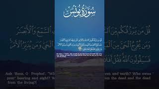 tilawat quran  best voice  Qirat Quran  sweet voice of quran recitation [upl. by Hiltner]