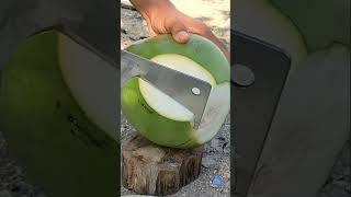 coconut craft fruit survival bushcraft camping [upl. by Feldt]