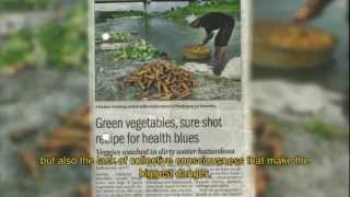 FARM TO FORK  Food hygiene in NEPAL [upl. by Jacobson213]