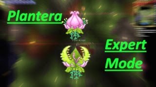 Expert Mode Guide  Plantera MAGE [upl. by Hsakaa747]