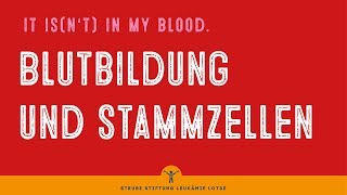 Blutbildung und Stammzellen  Krankheit verstehen [upl. by Ellenrahc]