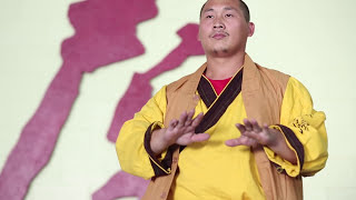 Training Authentic Kung Fu Shaolin online Training Display  01 [upl. by Haynes]