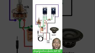 Amplificateur Audio HIFI à Transistor de Puissance TIP3055 amplifier electronic electrical diy [upl. by Shurlocke]