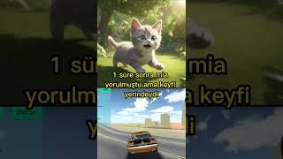 KELEBEK KOVALAN KÜÇÜK KEDİ cat funny kedilerindünyası cuma animasya [upl. by Poppas]