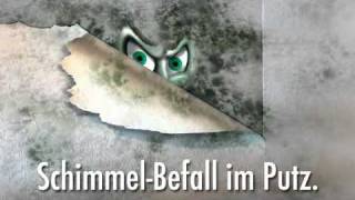 Anleitung Schimmel in Wohnung Wand  Bad entfernen [upl. by Sualk252]