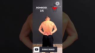 Scapula exercise focus strengthening exercises [upl. by Noillid]