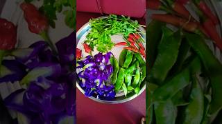 Todays harvest avarai Kai nei milagai cloud see chilli ghee chilli happy gardening shorts [upl. by Yelnoc]