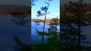 Hiking Near Sagamore Creek urbanforest portsmouth newhampshire foliage prettyview shorts [upl. by Ettellocin523]