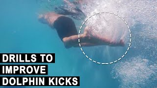 Improve Dolphin Kicks to Swim Faster  Practice Butterfly Kicks [upl. by Seldan416]