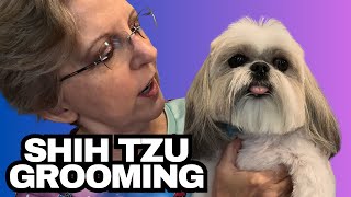 Grooming This Grumpy Dog  Shih Tzu  Lexie [upl. by Ateiluj339]