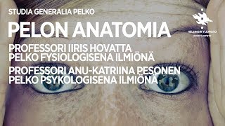 Studia Generalia Pelko Pelon Anatomia [upl. by Natye]