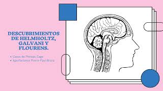 Descubrimientos de Helmholtz Galvani y Flourens [upl. by Sorensen]