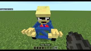 Baldis Basics in Minecraft  Addon Test [upl. by Nnaeitak]