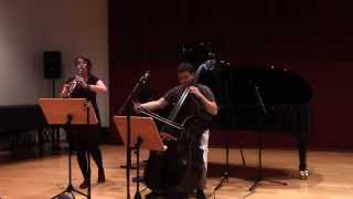 G Bottesini Duo for Clarinet Vera Karner and double bass Dominik Wagner [upl. by Airotna277]