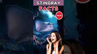 🐟 Top 5 weirdest to short facts about Stingray shorts stingray facts [upl. by Boehike]