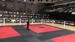 2011 ATA Martial Arts Invitational Highlights on ESPN [upl. by Atauqal]