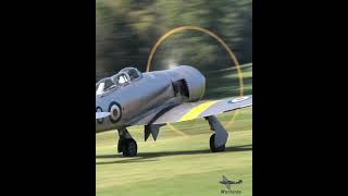 Hawker Sea Fury takeoff warbirds aviation aircraft radialengine [upl. by Nosidda]