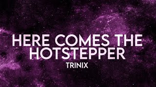 TRINIX  Here Comes the Hotstepper Lyrics Extended Ini Kamoze Remix [upl. by Aicre595]