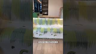 Elegant and beautiful sofa covers waterproof sofacoversonline home sofacover homedecor [upl. by Femi788]