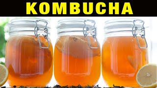 Beneficios de la Kombucha – ¿Adelgaza ¿Qué es ¿Hace Daño CONSEJOS Y CUIDADOS [upl. by Alaj]