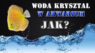 Jak utrzymać krystalicznie czystą wodę w akwarium  💧 [upl. by Yruoc683]