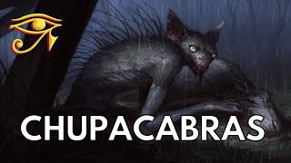 Chupacabras  Vampiric Cryptids of Latin America [upl. by Eeliah163]