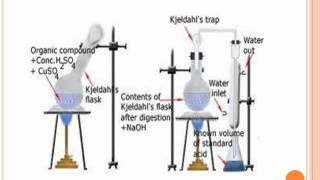 Kjeldahl method of nitrogen estimation [upl. by Euqinoj]