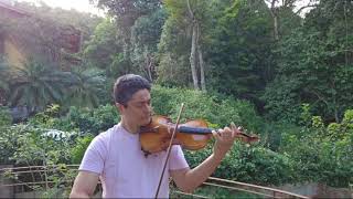 Air  Johann Sebastian Bach  M Paolo Medardi Violin [upl. by Laws]