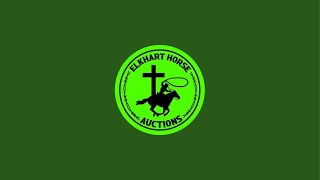 Elkhart Horse Auctions is live Horse Sale 7202024 [upl. by Hajile]