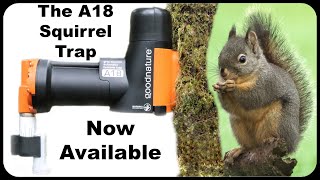 The A18 Squirrel Trap Is Now Available In The United States Mousetrap Monday [upl. by Ammon]