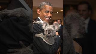 famous Koalas koala presdient funfact [upl. by Solon563]