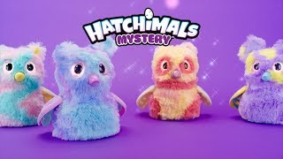 Hatchimals  Hatchimals Mystery  Hatch The Mystery [upl. by Yllet]