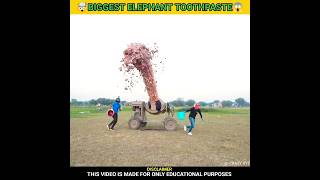 🤯WORLDS BIGGEST ELEPHANT TOOTHPASTE😱 BY‎CrazyXYZ MRINDIANHACKER MrBeast shorts [upl. by Cairns120]