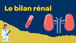 Interpréter un bilan rénal créatinine et urée [upl. by Farlee495]