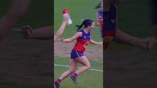 Sounds of Fitzroy FC shorts afl sport [upl. by Lewison542]