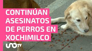 ¡Alerta en Xochimilco Perros siguen siendo víctimas de crueles asesinatos se buscan culpables [upl. by Berthoud815]