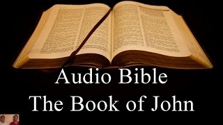 The Book of John  NIV Audio Holy Bible  High Quality and Best Speed  Book 43 [upl. by Einuj]