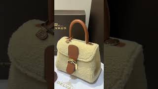 Delvaux Brillant bag [upl. by Cohette]