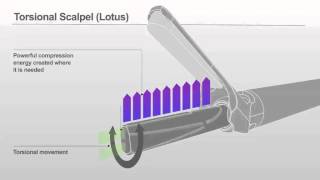 Lotus  Torsional Vibration [upl. by Ial]