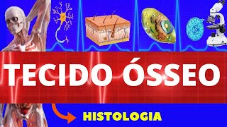 TECIDO ÓSSEO ENSINO SUPERIOR  HISTOLOGIA  CÉLULAS E ESTRUTURA DO TECIDO ÓSSEO [upl. by Killian]