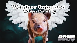 Weather Untamed  Episode 1  When Pigs Fly [upl. by Yeca]