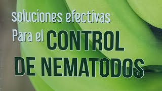 Aplicación para el control efectivo de nematodos en plátano [upl. by Orravan]