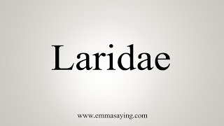 How To Say Laridae [upl. by Otiragram898]