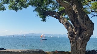 Der BodenseeRadweg Alle Infos zum Radweg und zu den Attraktionen am Bodensee [upl. by Aisekal]