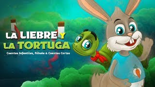 Historias de niños en Español  Colección de historias para niños  Cuentos en espanol [upl. by Nwonknu664]