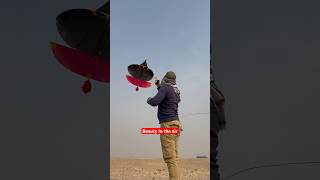 Patang Bazi in dubai desert patang kiteflying patangbazi kiteflyer outdooractivity fy funny [upl. by Nnayelhsa150]