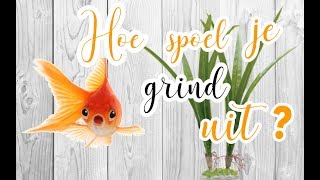 Hoe spoel je grindzand uit voor een aquarium  Inrichten l BUNNBUNN [upl. by Mad]