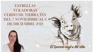 Feng Shui Estrellas Voladoras Noviembre 2021 [upl. by Joktan937]