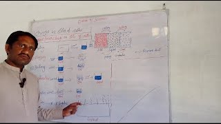 G 6ScienceChapter 5Different process changes in matter state [upl. by Hafinah613]